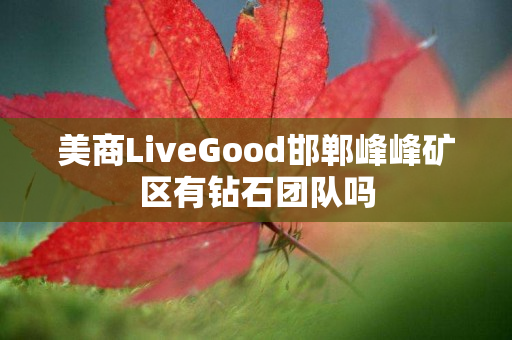 美商LiveGood邯郸峰峰矿区有钻石团队吗