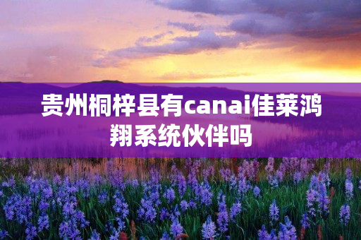 贵州桐梓县有canai佳莱鸿翔系统伙伴吗