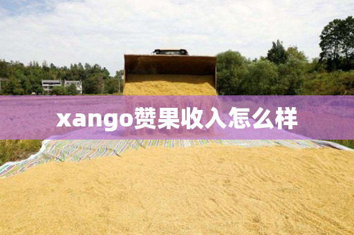 xango赞果收入怎么样