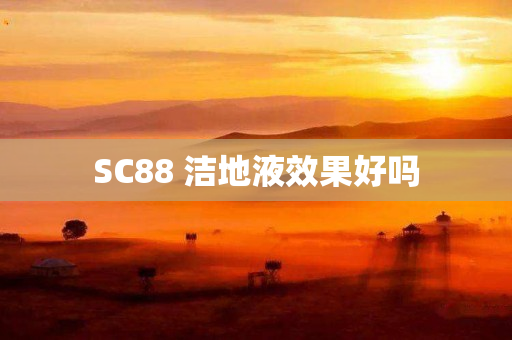 SC88 洁地液效果好吗