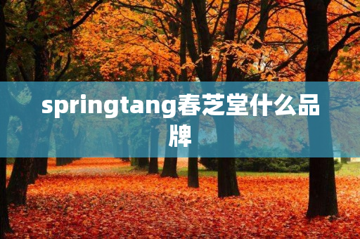 springtang春芝堂什么品牌