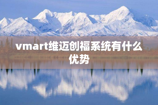 vmart维迈创福系统有什么优势