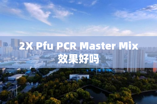 2X Pfu PCR Master Mix效果好吗