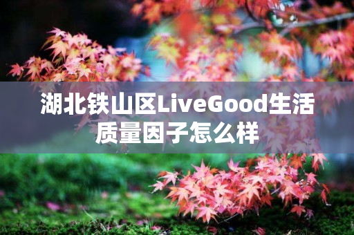 湖北铁山区LiveGood生活质量因子怎么样