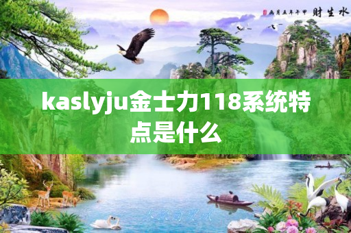 kaslyju金士力118系统特点是什么