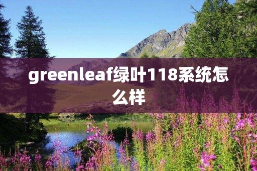 greenleaf绿叶118系统怎么样