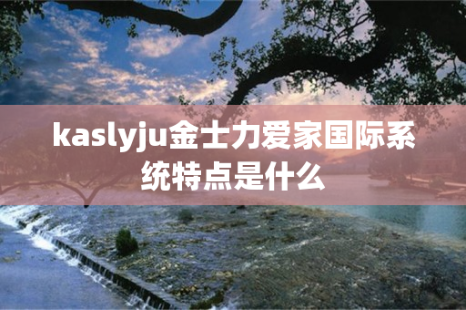 kaslyju金士力爱家国际系统特点是什么