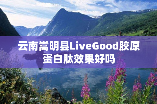 云南嵩明县LiveGood胶原蛋白肽效果好吗