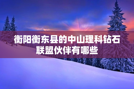 衡阳衡东县的中山理科钻石联盟伙伴有哪些