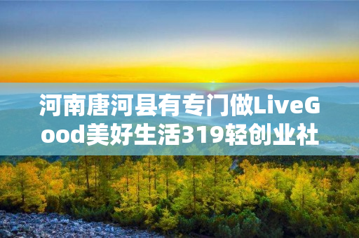 河南唐河县有专门做LiveGood美好生活319轻创业社群的伙伴吗