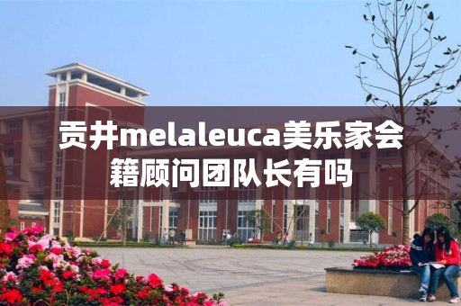 贡井melaleuca美乐家会籍顾问团队长有吗