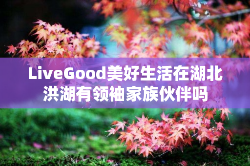 LiveGood美好生活在湖北洪湖有领袖家族伙伴吗