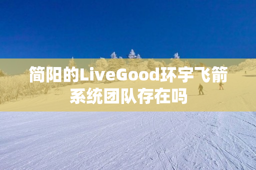 简阳的LiveGood环宇飞箭系统团队存在吗