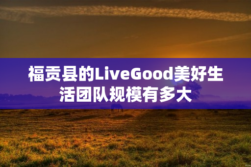 福贡县的LiveGood美好生活团队规模有多大