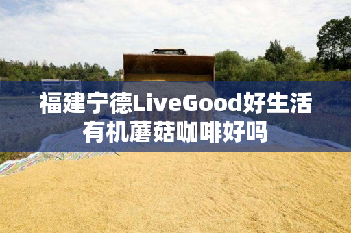 福建宁德LiveGood好生活有机蘑菇咖啡好吗