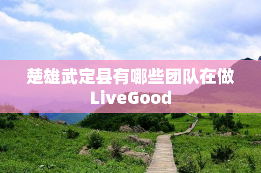 楚雄武定县有哪些团队在做LiveGood