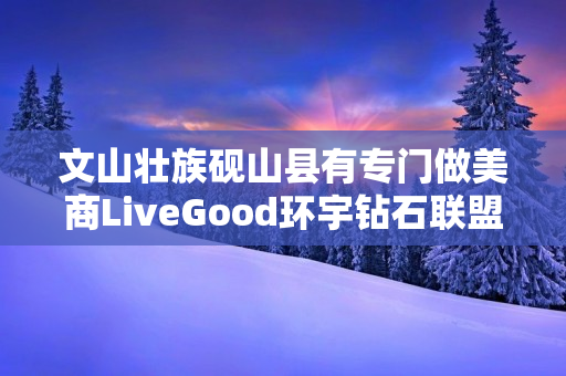 文山壮族砚山县有专门做美商LiveGood环宇钻石联盟的伙伴吗