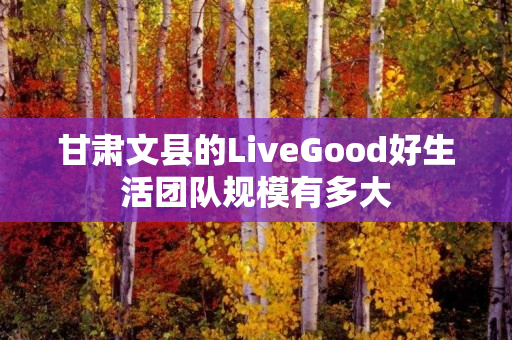 甘肃文县的LiveGood好生活团队规模有多大