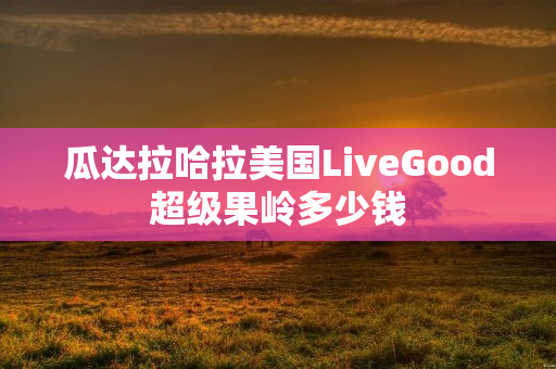 瓜达拉哈拉美国LiveGood超级果岭多少钱