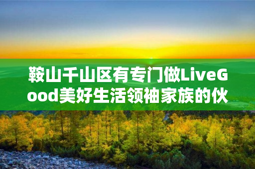 鞍山千山区有专门做LiveGood美好生活领袖家族的伙伴吗