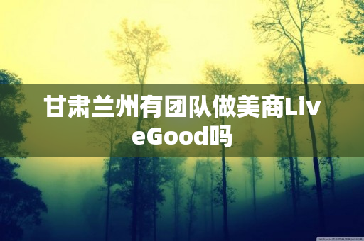 甘肃兰州有团队做美商LiveGood吗