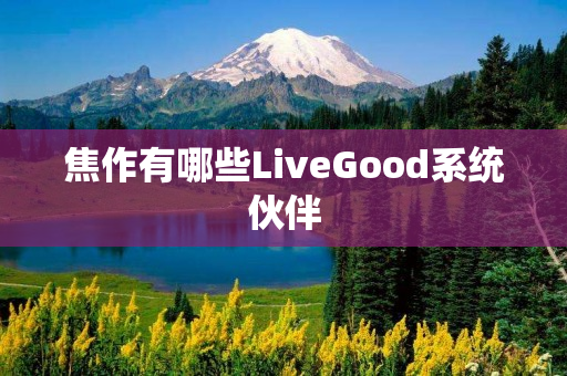 焦作有哪些LiveGood系统伙伴