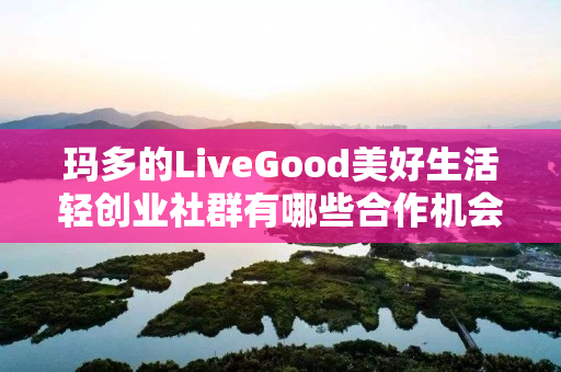 玛多的LiveGood美好生活轻创业社群有哪些合作机会