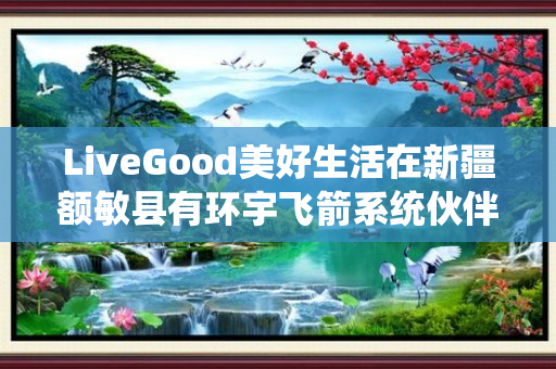 LiveGood美好生活在新疆额敏县有环宇飞箭系统伙伴吗