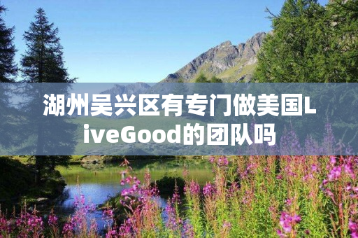 湖州吴兴区有专门做美国LiveGood的团队吗