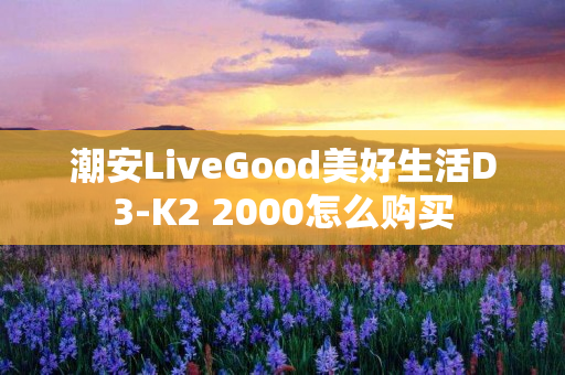 潮安LiveGood美好生活D3-K2 2000怎么购买