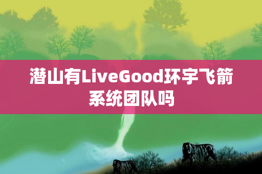 潜山有LiveGood环宇飞箭系统团队吗