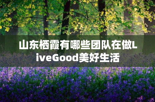 山东栖霞有哪些团队在做LiveGood美好生活