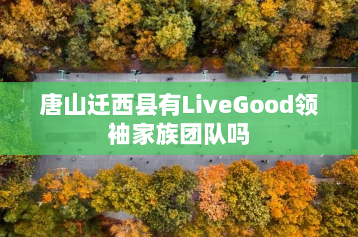 唐山迁西县有LiveGood领袖家族团队吗