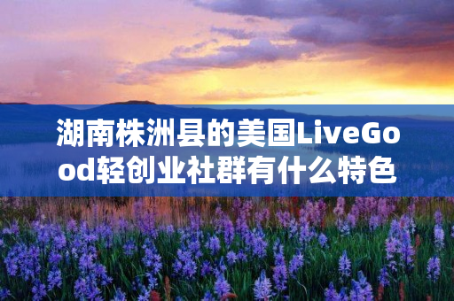 湖南株洲县的美国LiveGood轻创业社群有什么特色