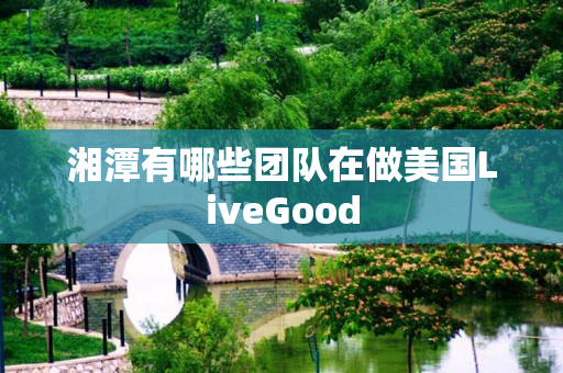 湘潭有哪些团队在做美国LiveGood