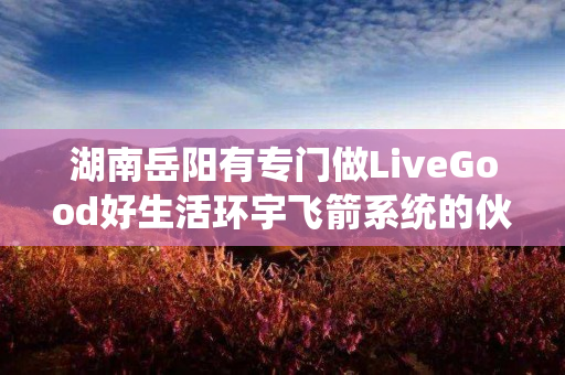 湖南岳阳有专门做LiveGood好生活环宇飞箭系统的伙伴吗