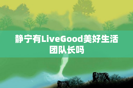 静宁有LiveGood美好生活团队长吗