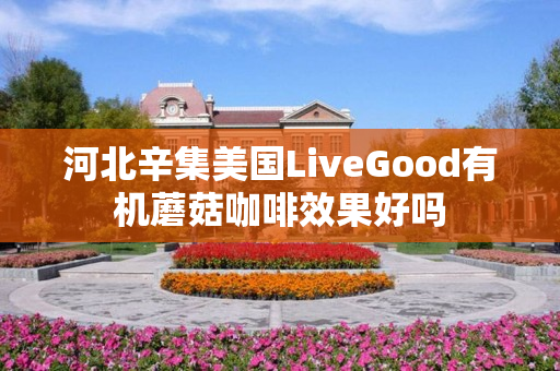 河北辛集美国LiveGood有机蘑菇咖啡效果好吗