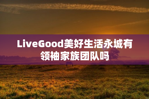 LiveGood美好生活永城有领袖家族团队吗