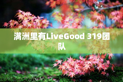 满洲里有LiveGood 319团队