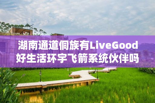 湖南通道侗族有LiveGood好生活环宇飞箭系统伙伴吗