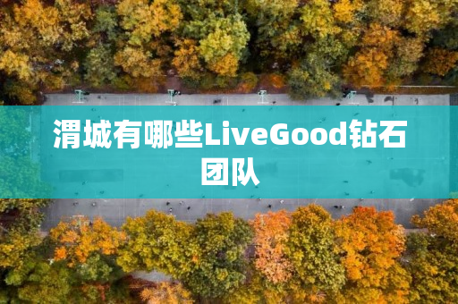 渭城有哪些LiveGood钻石团队