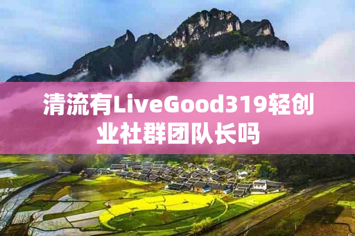 清流有LiveGood319轻创业社群团队长吗