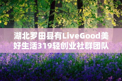 湖北罗田县有LiveGood美好生活319轻创业社群团队长吗