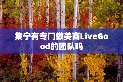 集宁有专门做美商LiveGood的团队吗