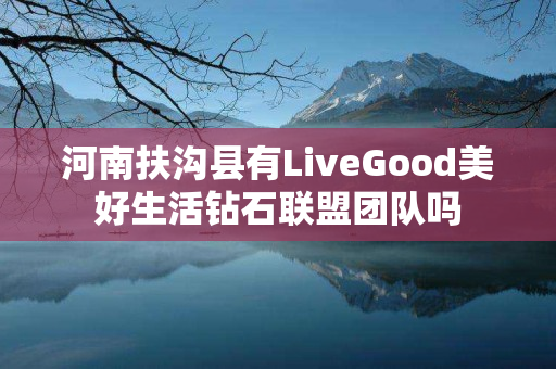 河南扶沟县有LiveGood美好生活钻石联盟团队吗