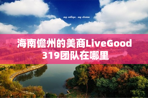 海南儋州的美商LiveGood 319团队在哪里