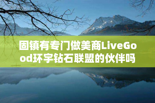 固镇有专门做美商LiveGood环宇钻石联盟的伙伴吗