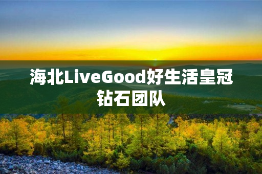 海北LiveGood好生活皇冠钻石团队