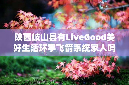 陕西岐山县有LiveGood美好生活环宇飞箭系统家人吗